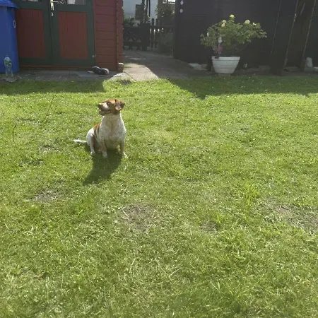 Auf Grosser Fahrt Strandnah, Wlan, Terrasse, Hunde Willkommen Nyaraló *